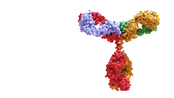 Immunologie