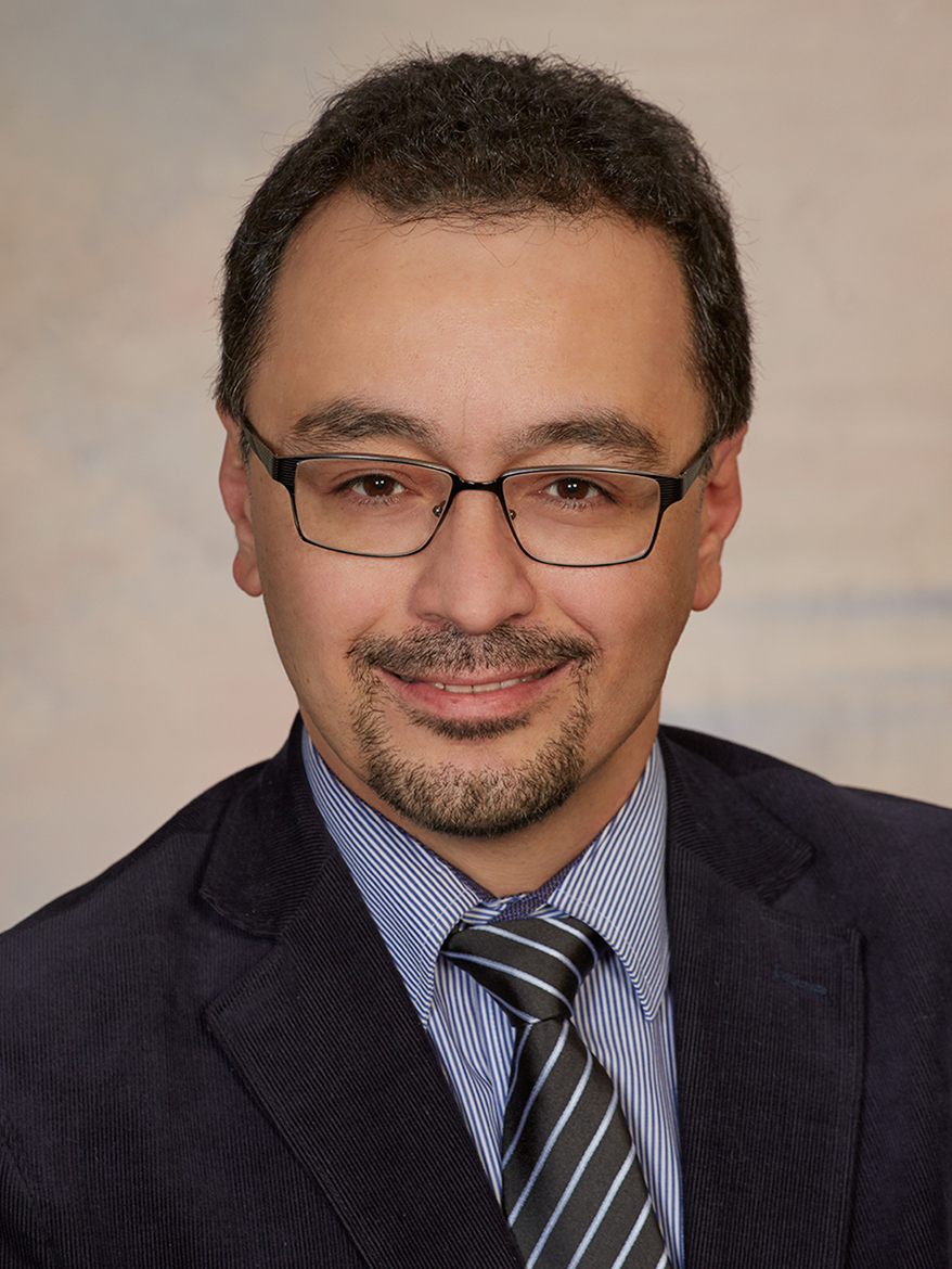 Hon.-Prof. Dr. Babek Oshidari